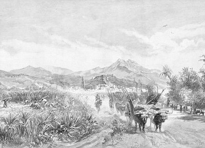 View of the Sugar Fields, Malaga, Spain, from 